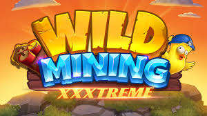 wild mining
