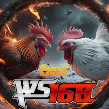 Sabung Ayam WS168