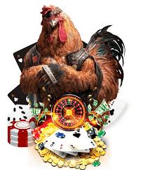 sabung ayam
