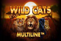 Wild Cats