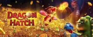 Dragon Hatch