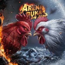 Sabung Ayam