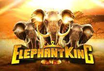 Elephant Empire