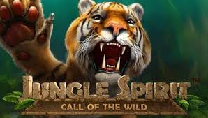 jungle
